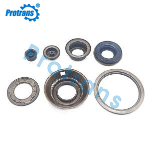 Automobile Piston Kit